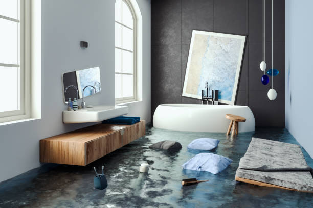 Best Water damage restoration process  in Berkeley Lake, GA
