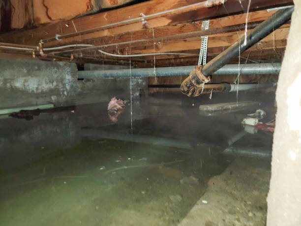 Best Emergency water damage restoration  in Berkeley Lake, GA