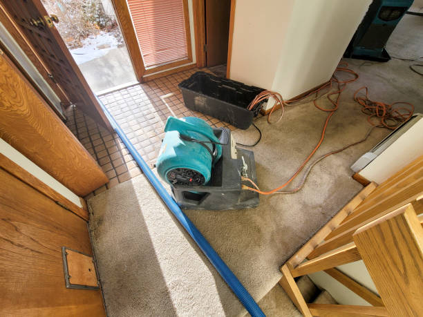Best Water damage repair service  in Berkeley Lake, GA