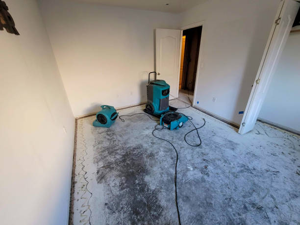 Best Water damage contractors near me  in Berkeley Lake, GA