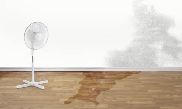 Best Commercial water damage restoration  in Berkeley Lake, GA