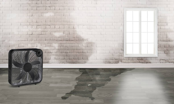 Best Water damage cleanup near me  in Berkeley Lake, GA