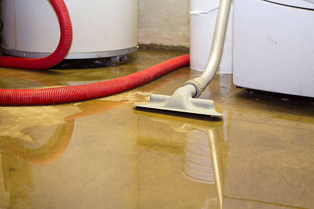 Best Carpet water damage restoration  in Berkeley Lake, GA