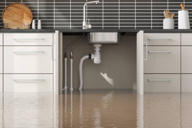 Best Water damage restoration specialists  in Berkeley Lake, GA