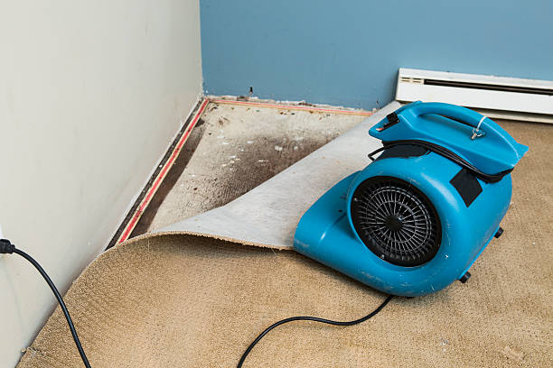 Best 24-hour water damage restoration  in Berkeley Lake, GA